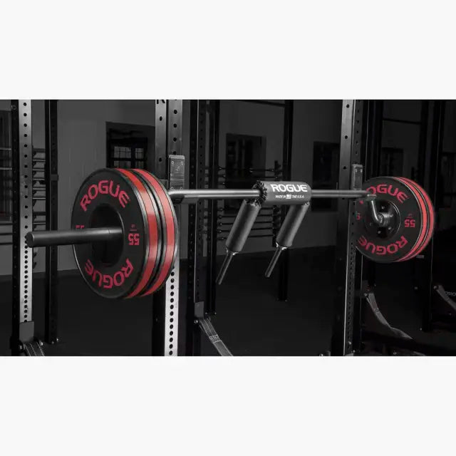 ROGUE SB-1 Safety Squat Bar